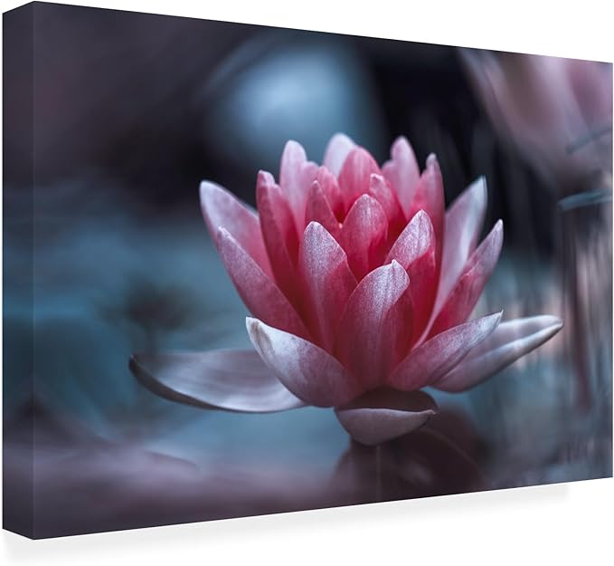 Trademark Fine Art Canvas Wall Art - Fabien Bravin 'Offer' Wall Art for Living Room, Bedroom, or Office Décor 19 x 12 Inches