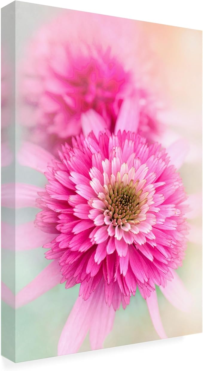 Trademark Fine Art Canvas Wall Art - Jacky Parker 'Summer Spirit' Wall Art for Living Room, Bedroom, or Office Décor 12 x 19 Inches