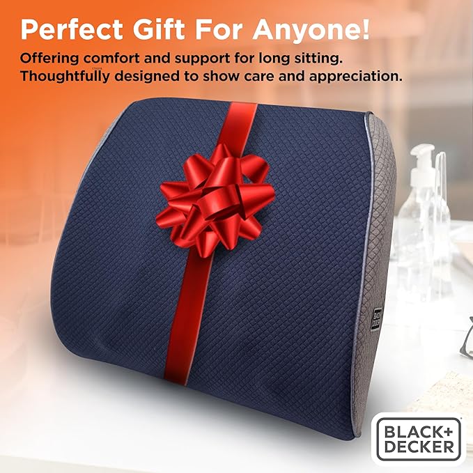 BLACK+DECKER Memory Foam Lumbar Support Pillow Lumbar Cushion with Multiple Massage Points for Office, Car, Wheelchair & Airplane Ergonomic, Pain Relief, Adjustable Strap, Washable Cover, Lt Blue/Grey