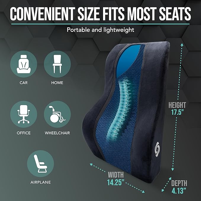 Samsonite Lumbar Support Pillow – Ergonomic Back Rest for Office Chair & Car Seat, Memory Foam Cushion for Lower Back Pain Relief, Breathable Mesh, Adjustable Strap, Black/Blue Mesh