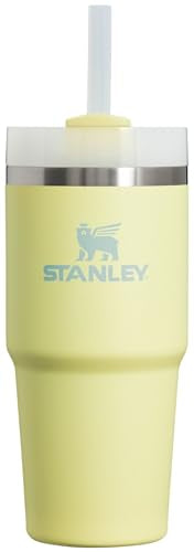 Stanley Quencher H2.0 FlowState Stainless Steel Vacuum Insulated Tumbler with Lid and Straw for Water, Iced Tea or Coffee, Smoothie and More, Pomelo, 14oz