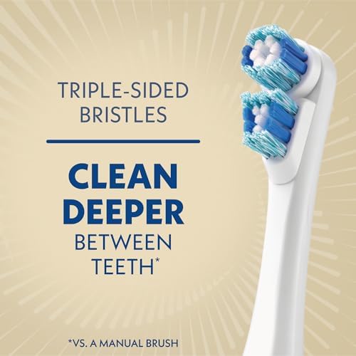 Spinbrush Smart Clean Battery Powered Electric Toothbrush for Adults with Dual Action Head, Pacer & Timer, Champagne, Soft Bristles, 1 Count