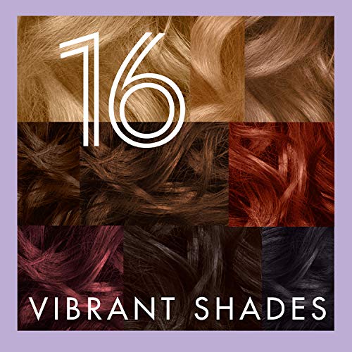 SoftSheen-Carson Dark and Lovely Fade Resist Rich Conditioning Hair Color, Permanent Hair Color, Up To 100 percent Gray Coverage, Brilliant Shine with Argan Oil and Vitamin E, Jet Black, 2 Count