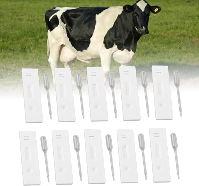 Fdit Cow Pregnancy Test Strips High Accuracy Quick Detection Early Pregnancy Diagnosis Tool