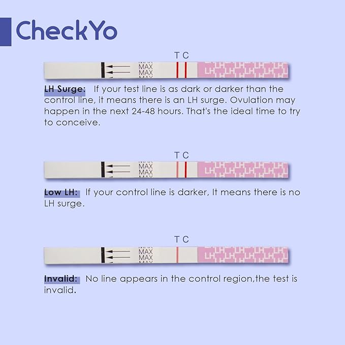 Ovulation and Pregnancy Test: Fast and Easy to Use at Home Ovulation Test Strips and Pregnancy Test