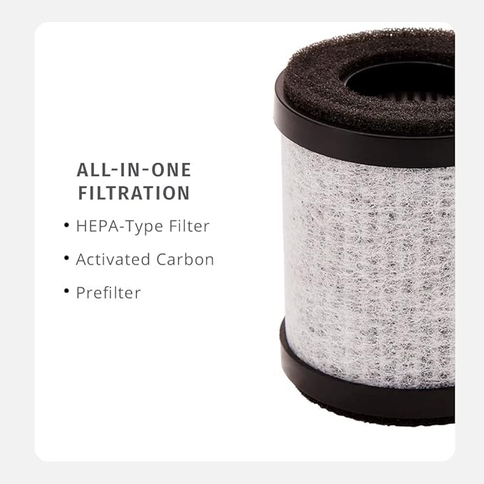 Homedics TotalClean 3-in-1 HEPA-Type Air Purifier Filter Replacement, Works with Homedics AP-P60-BK and AP-P60-WT Portable Air Purifiers, Captures Microscopic Airborne Particles, 3-Pack