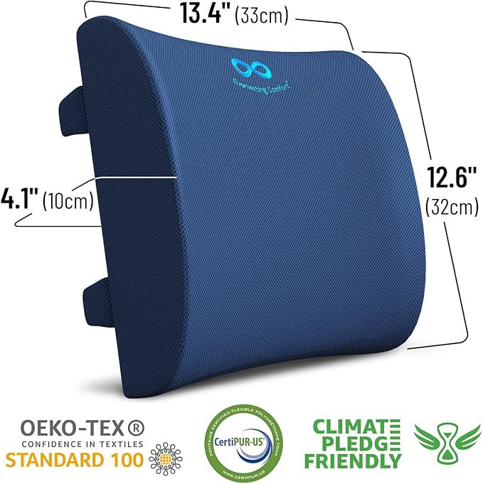 Everlasting Comfort Lumbar Support Pillow for Car Seat - Memory Foam Back Cushion for Car - Lumbar Pillow Promotes Better Posture, Back Pain Relief - Ideal for Driving