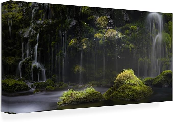 Trademark Fine Art Canvas Wall Art - KENjiro.S 'Silence' Wall Art for Living Room, Bedroom, or Office Décor