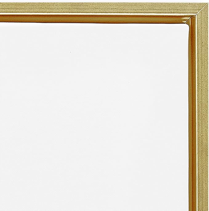 Stupell Industries Abstract Mindfulness Exercise Framed Floater Canvas Wall Art Design by Tim Parker, Gold Floater Frame, 21 x 17