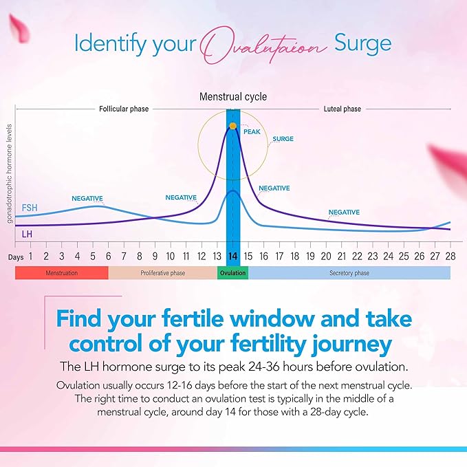 Clinical Guard 20 Ovulation Test Strips and 5 Early Pregnancy Test Strips Combo Rapid HCG Test Fertility Ovulation Predictor Kit (25 Count)