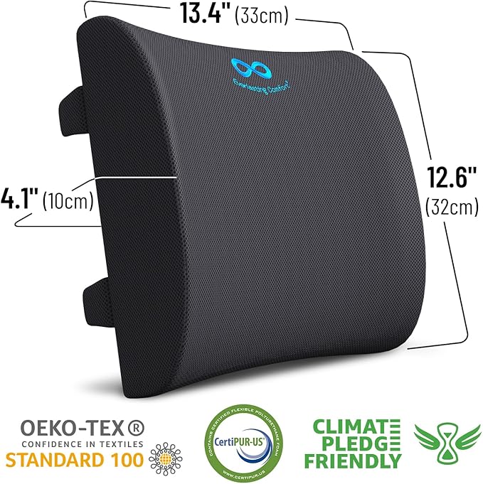 Everlasting Comfort Lumbar Support Pillow for Car Seat - Memory Foam Back Cushion for Car - Lumbar Pillow Promotes Better Posture, Back Pain Relief - Ideal for Driving