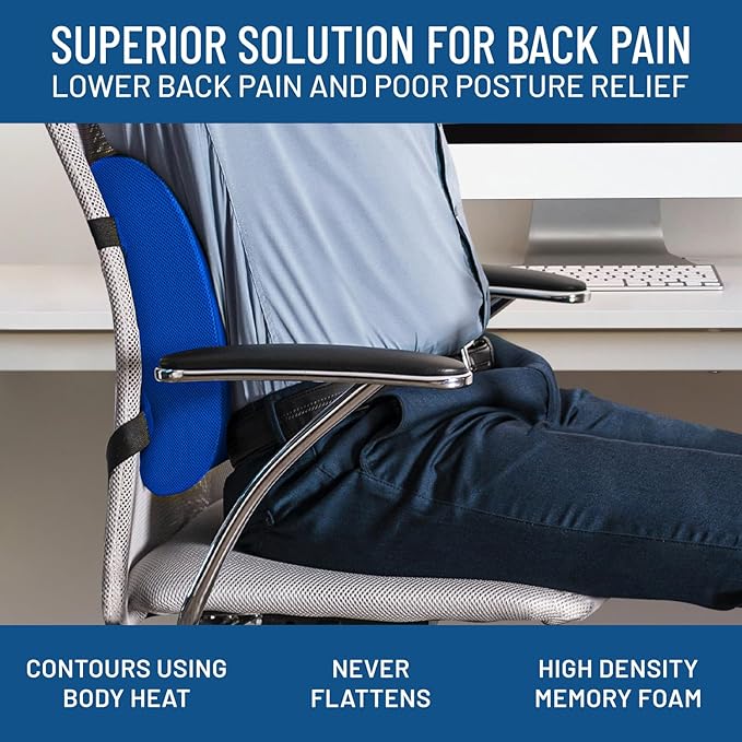 Everlasting Comfort Lumbar Support Pillow for Car Seat - Memory Foam Back Cushion for Car - Lumbar Pillow Promotes Better Posture, Back Pain Relief - Ideal for Driving