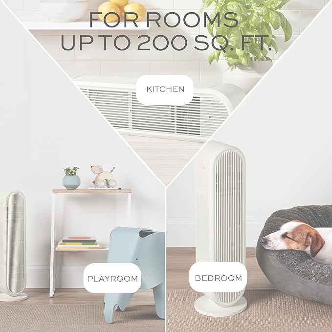Conair Air Purifier, HEPA Air Filter, Purifier for Allergies, Dust, Pollen, Odor Control,Medium Sized Rooms up to 200 Sq. Ft.