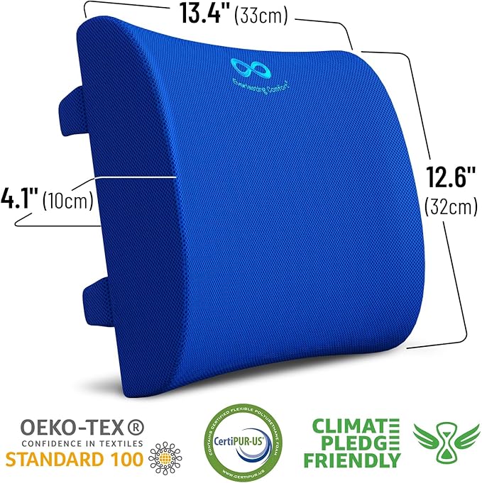Everlasting Comfort Lumbar Support Pillow for Car Seat - Memory Foam Back Cushion for Car - Lumbar Pillow Promotes Better Posture, Back Pain Relief - Ideal for Driving