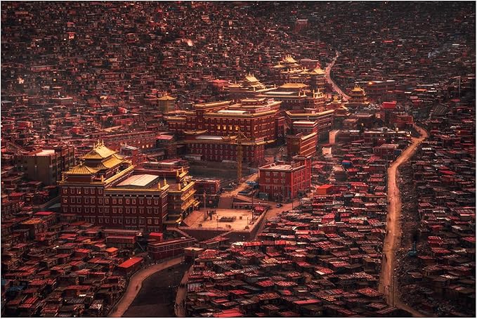 Trademark Fine Art Canvas Wall Art - TIANQI 'The Buddha domain' Wall Art for Living Room, Bedroom, or Office Décor