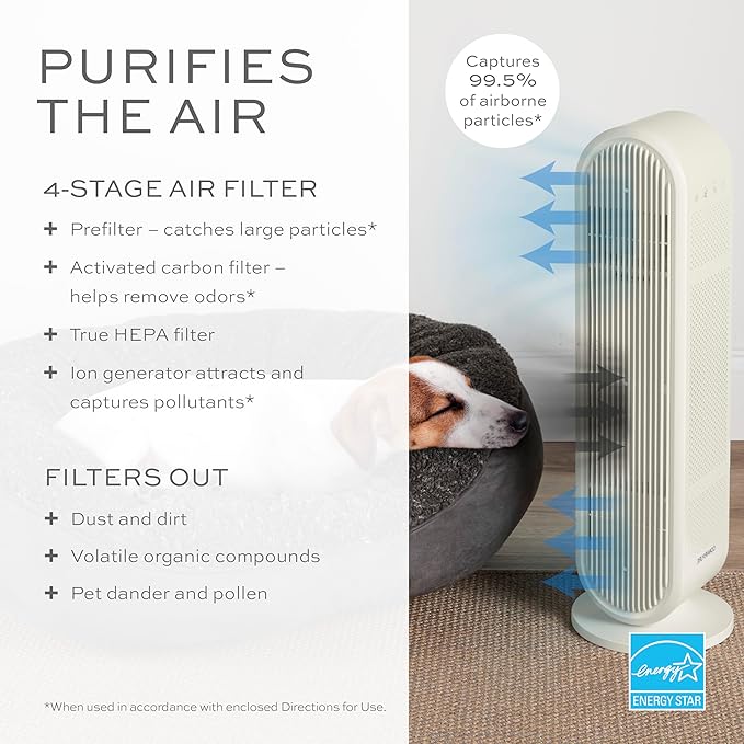 Conair Air Purifier, HEPA Air Filter, Purifier for Allergies, Dust, Pollen, Odor Control,Medium Sized Rooms up to 200 Sq. Ft.