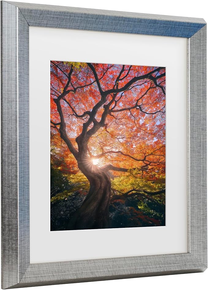 Trademark Fine Art Framed Wall Art - Javier De La 'The Japanese Tree' Wall Decor with Matted Frame