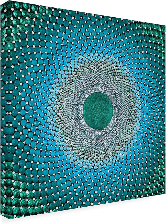 Trademark Fine Art Canvas Wall Art - Amy Diener 'Portal No 2' Wall Art for Living Room, Bedroom, or Office Décor